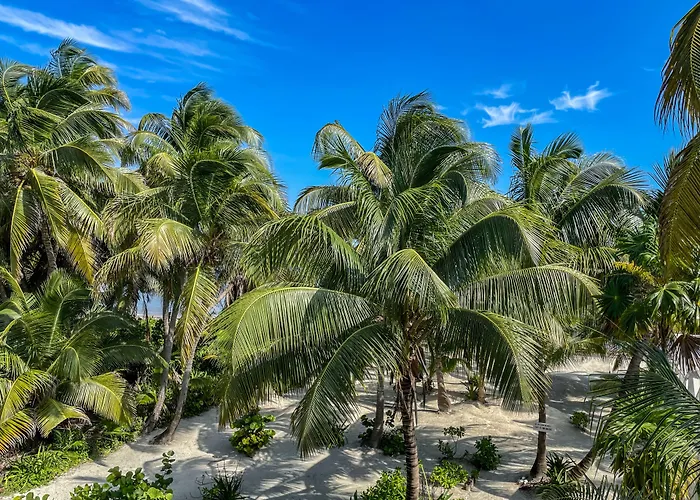North Retreat Apartamento San Pedro (Ambergris Caye)