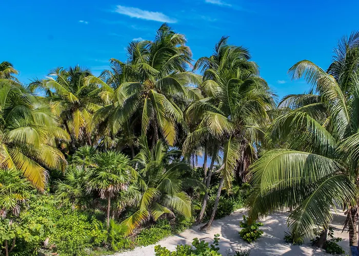 North Retreat San Pedro (Ambergris Caye)